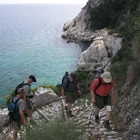 ゲストハウス Golden Sun 4*