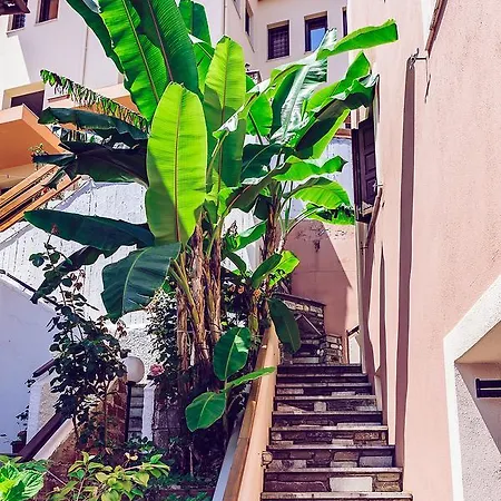 Golden Sun Guest house *